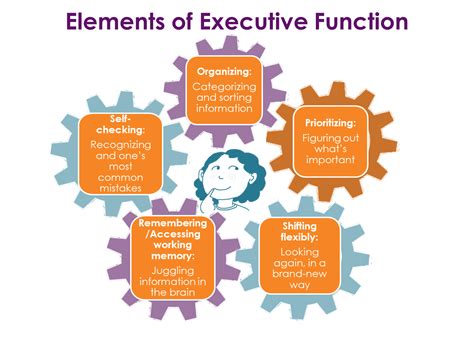 Executive control Definition & Meaning .